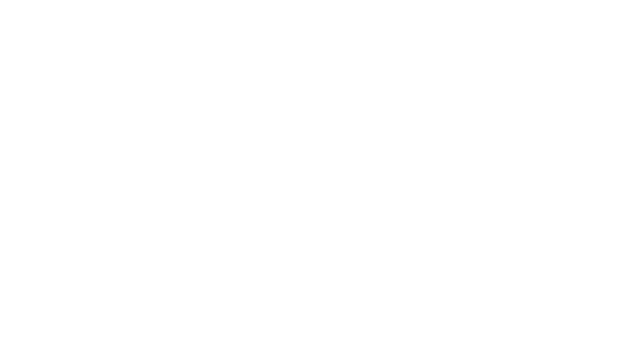 Fiber Speed